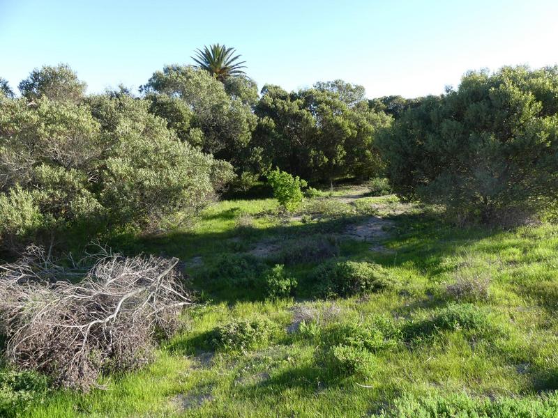 0 Bedroom Property for Sale in Shelley Point Western Cape